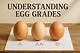 Understanding Gith Egg: Everything You Need to Know