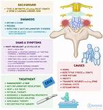 Understanding Hypertrophic Facet Arthropathy: Causes, Symptoms, and Treatment