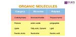 Understanding Organic Molecules: the Building Blocks of Life