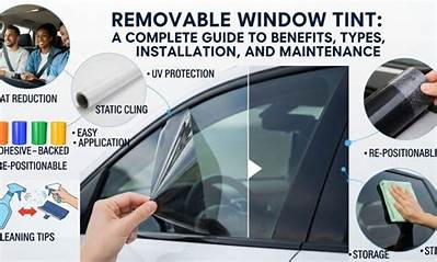 Understanding Removable Tint: Benefits, Applications, and Installation