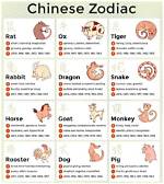 Understanding the 1991 Chinese Zodiac Personality: Traits and Insights