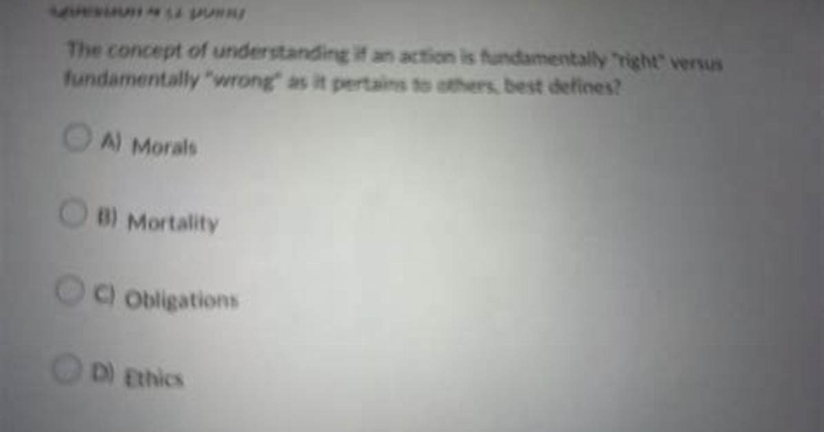 Understanding the Concept of a Fundamentally Unserious Place