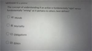 Understanding the Concept of a Fundamentally Unserious Place