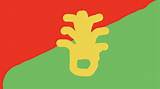 Understanding the Half Red Half Green Flag: a Comprehensive Guide