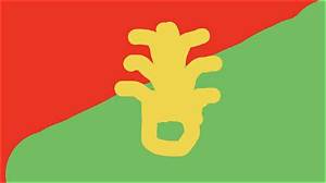Understanding the Half Red Half Green Flag: a Comprehensive Guide