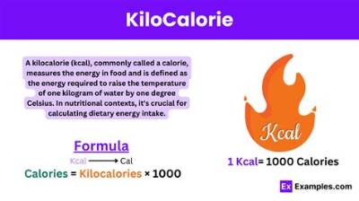 Understanding the Meaning of Kcal: a Comprehensive Guide to Calories and Energy