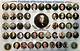 Understanding the Order of Vice Presidents in the United States