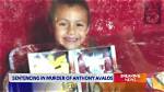 Understanding the Tragic Story of Anthony Avalos Parents