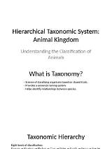 Unlocking the Mysteries: What Taxonomy Kingdom Is a Black Panther in?