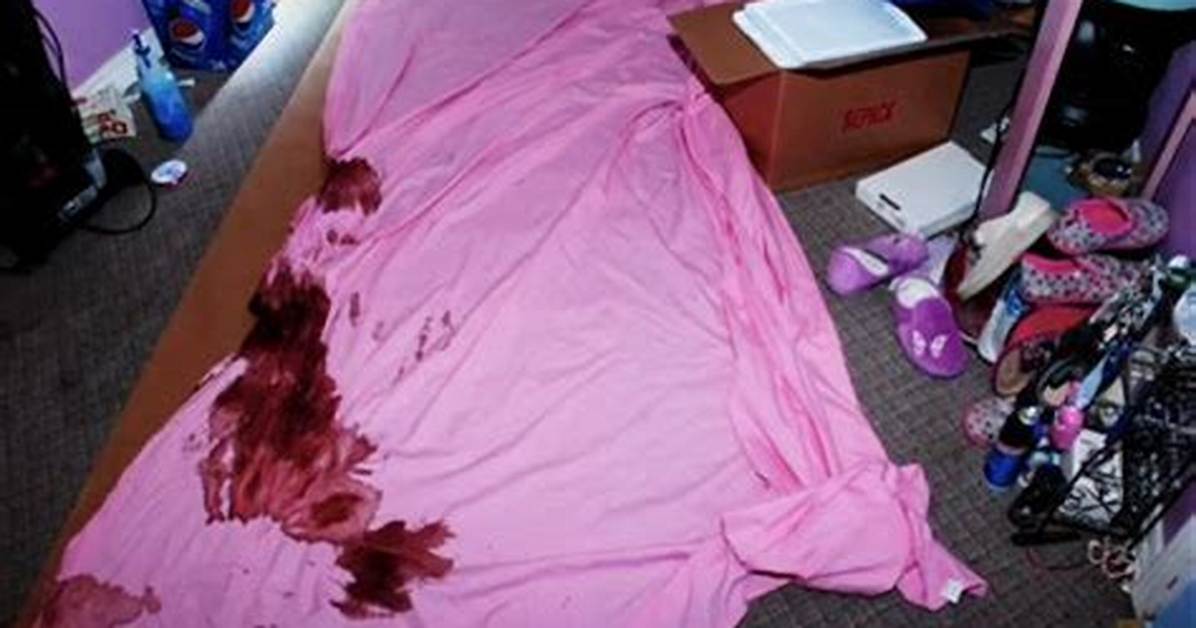 Unraveling the Mystery: Gypsy Rose Crime Scene Photos
