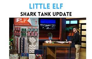 Unveiling Little Elf Shark Tank Net Worth: Success Story and Financial Insights