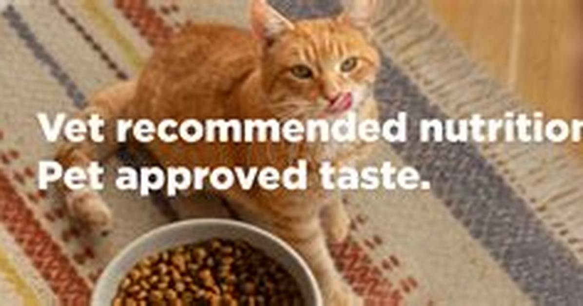 Unveiling the Benefits of Science Diet Cat Food: a Comprehensive Guide