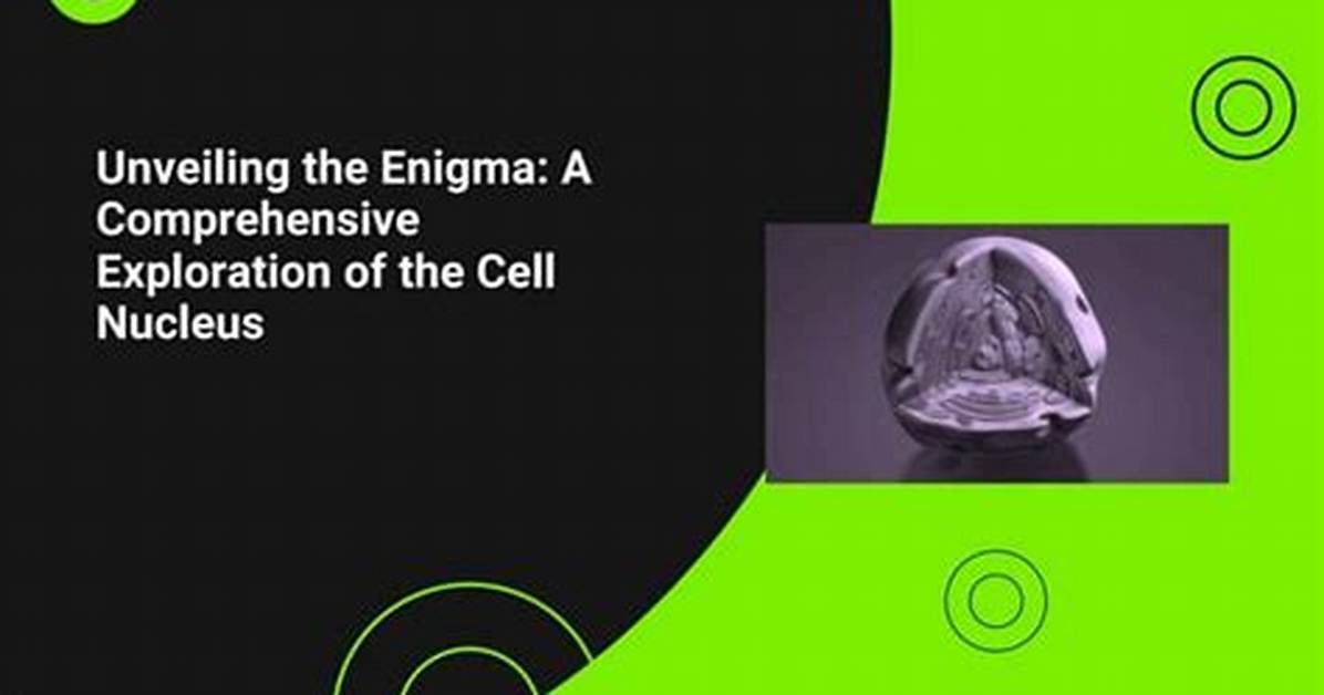 Unveiling the Enigma: a Comprehensive Exploration of Andy Ngo X