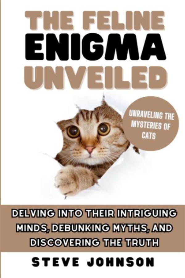 Unveiling the Enigma: Discovering the Truth About Lil Tecca's Wife