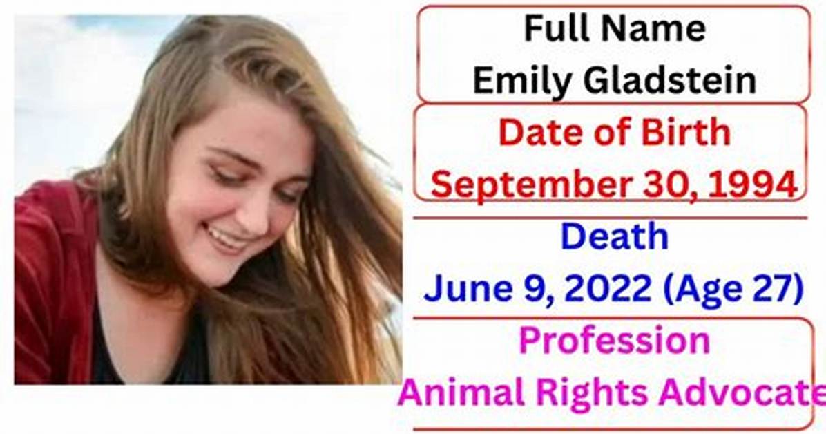 Unveiling the Enigma Emily Gladstein S Disappearance and the Search For