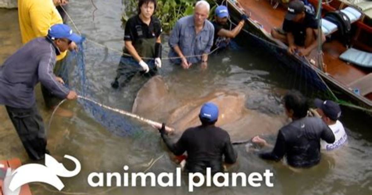 Unveiling the Enigmatic World of Jeremy Wade's Wife
