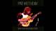 Unveiling the Life of Pat Metheny and His Beloved Wife