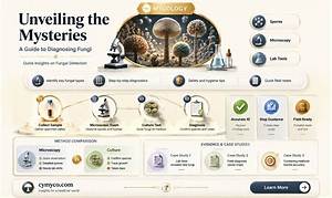 Unveiling the Mysteries of Iyifqn: a Comprehensive Guide