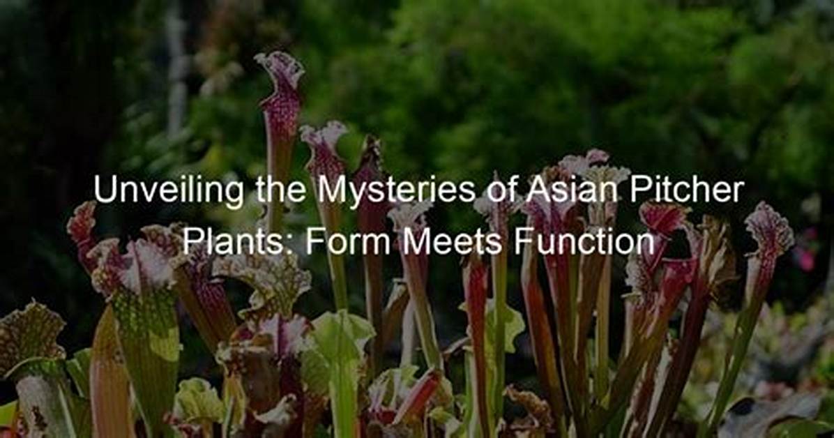 Unveiling the Mysteries of the 1991 Asian Zodiac: a Complete Guide