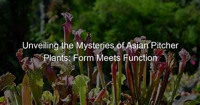 Unveiling the Mysteries of the 1991 Asian Zodiac: a Complete Guide