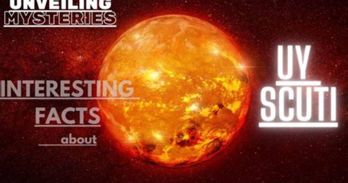 Unveiling the Mysteries of Uy Scuti: a Cosmic Giant