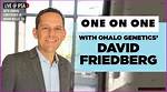 Unveiling the Secrets Behind David Friedberg's Fortune