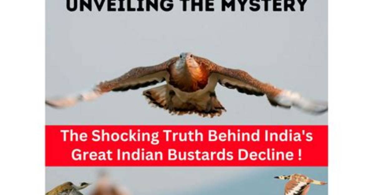 Unveiling the Truth Unraveling the Mystery of Jon Gould S