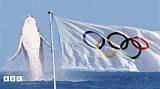 Unveiling the World of the Olympics Whale: a Comprehensive Guide