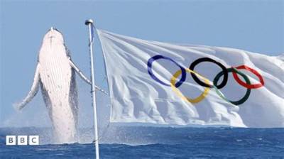 Unveiling the World of the Olympics Whale: a Comprehensive Guide