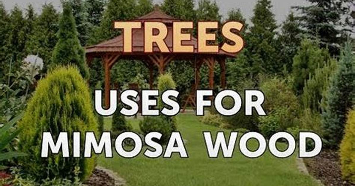 Uses for Mimosa Wood | Homesteady