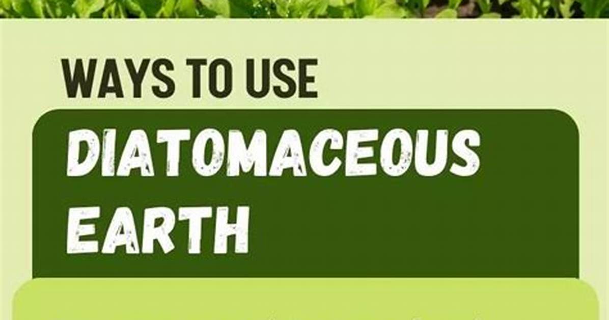 Uses of Diatomaceous Earth For