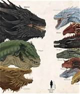 Vermithor vs Vhagar: Size Comparison, Strength, Dragon Riders and Power