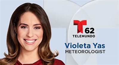 Violeta Yas (Telemundo)Biografia, Wiki, Age, Married, Husband, Nationality, Education and Salary.