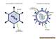 Viral Kandcom: Exploring the Phenomenon and Its Impact
