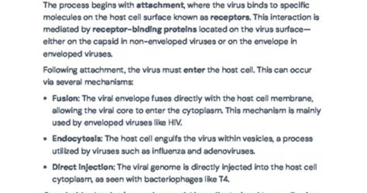 Viralkhand: a Comprehensive Guide to the Viral Sensation Taking the Internet by Storm