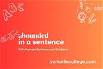 Was Abounded in a Sentence?