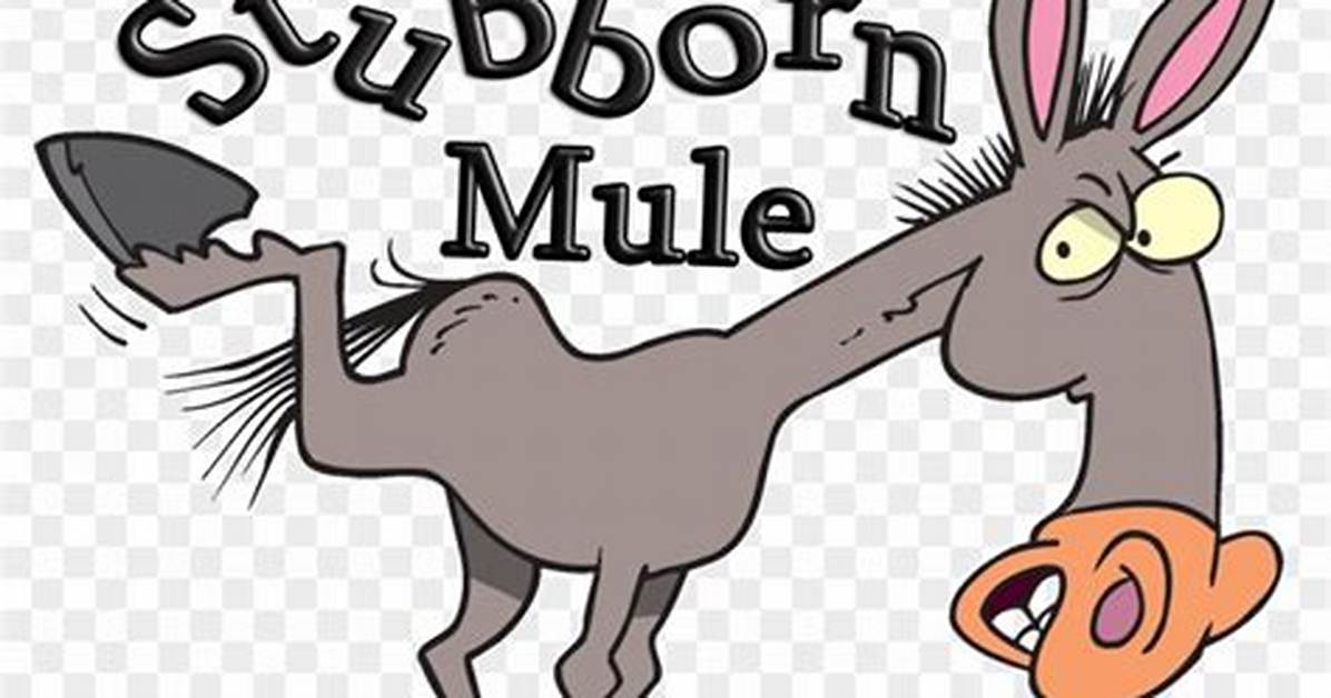 Was as Stubborn as a Mule?