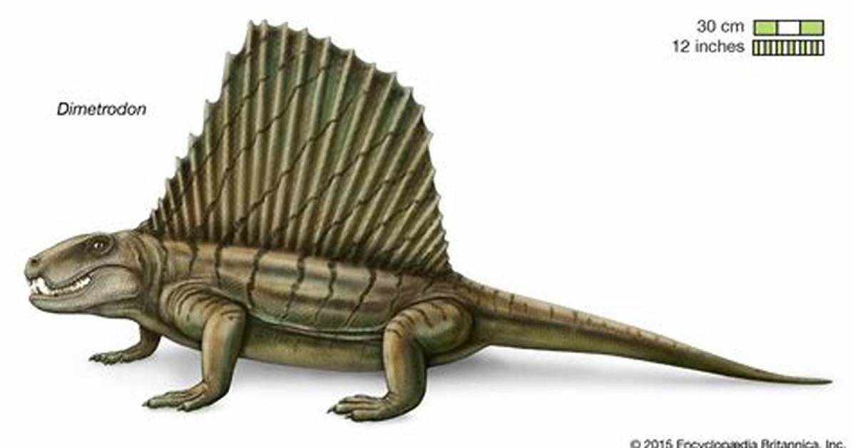 Was Dimetrodon a Mammal?