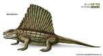 Was Dimetrodon a Mammal?