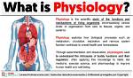 Was Does Physiology Mean?