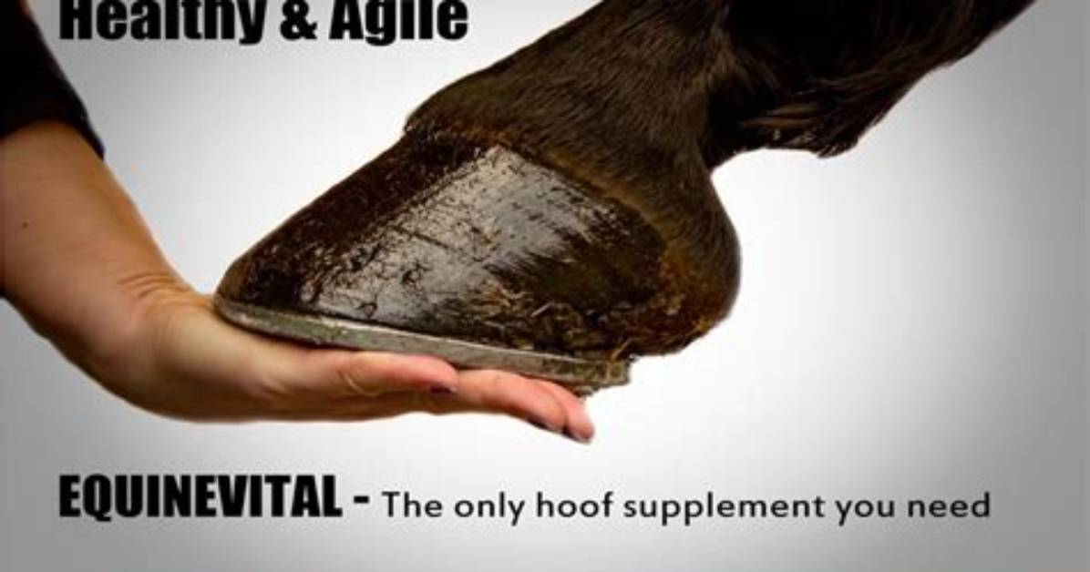Was Gelatin Made from Horse Hooves?