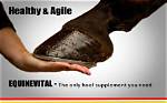 Was Gelatin Made from Horse Hooves?