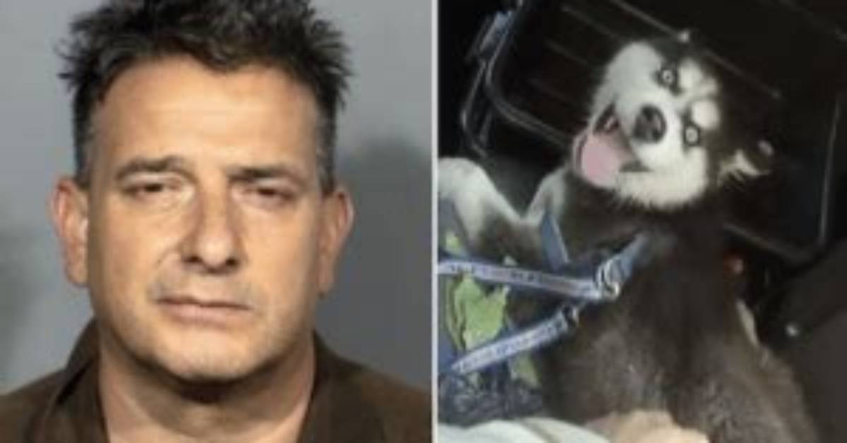 Was Raul Carbajal Arrested? California Man Left Puppy’s Mouth Taped