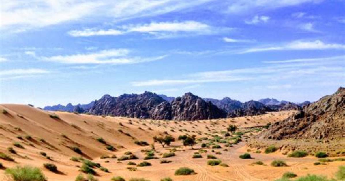 Was the Wilderness a Desert?