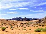 Was the Wilderness a Desert?