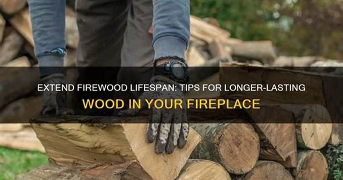 Ways to Make Wood Last Longer in Wood
