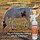Ways to Repel Horse Flies