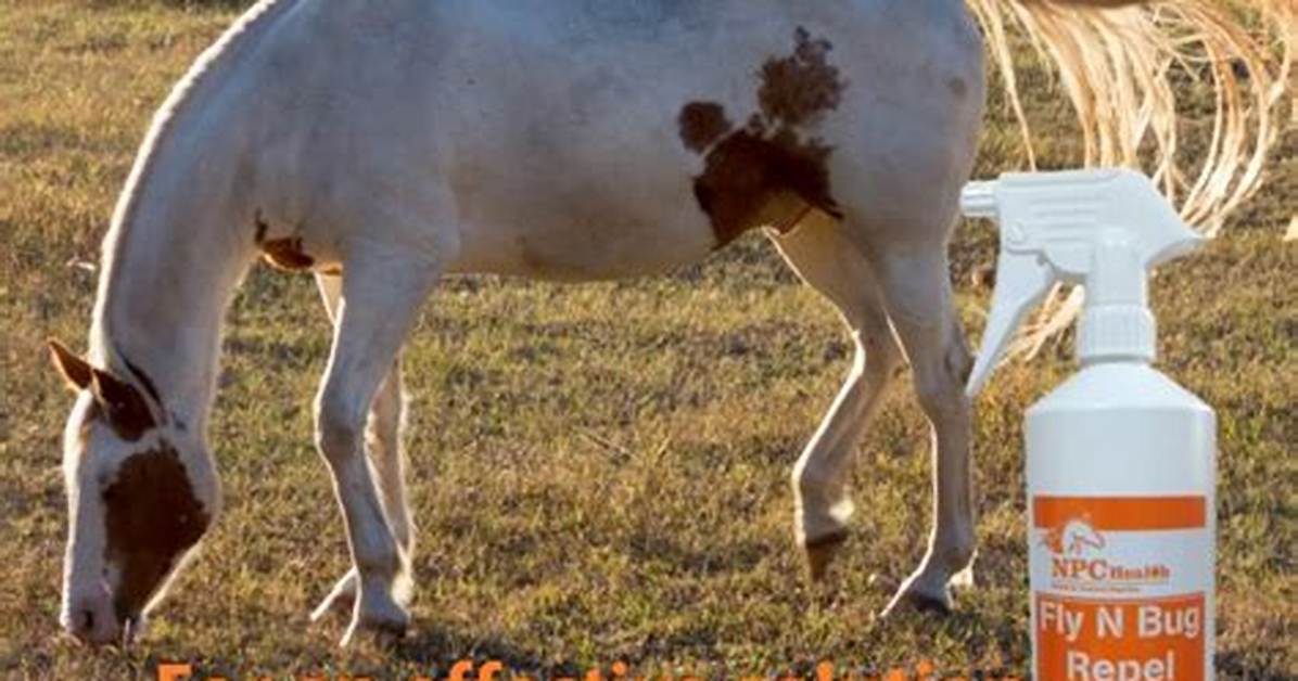 Ways to Repel Horse