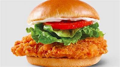 Wendy's Spicy Chicken Burger: a Culinary Delight You Can't Miss