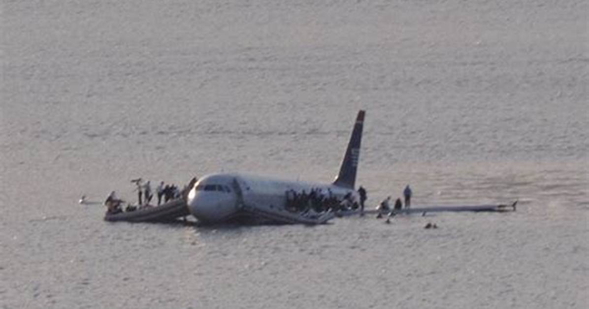 Were There Any Animals on Flight 1549?